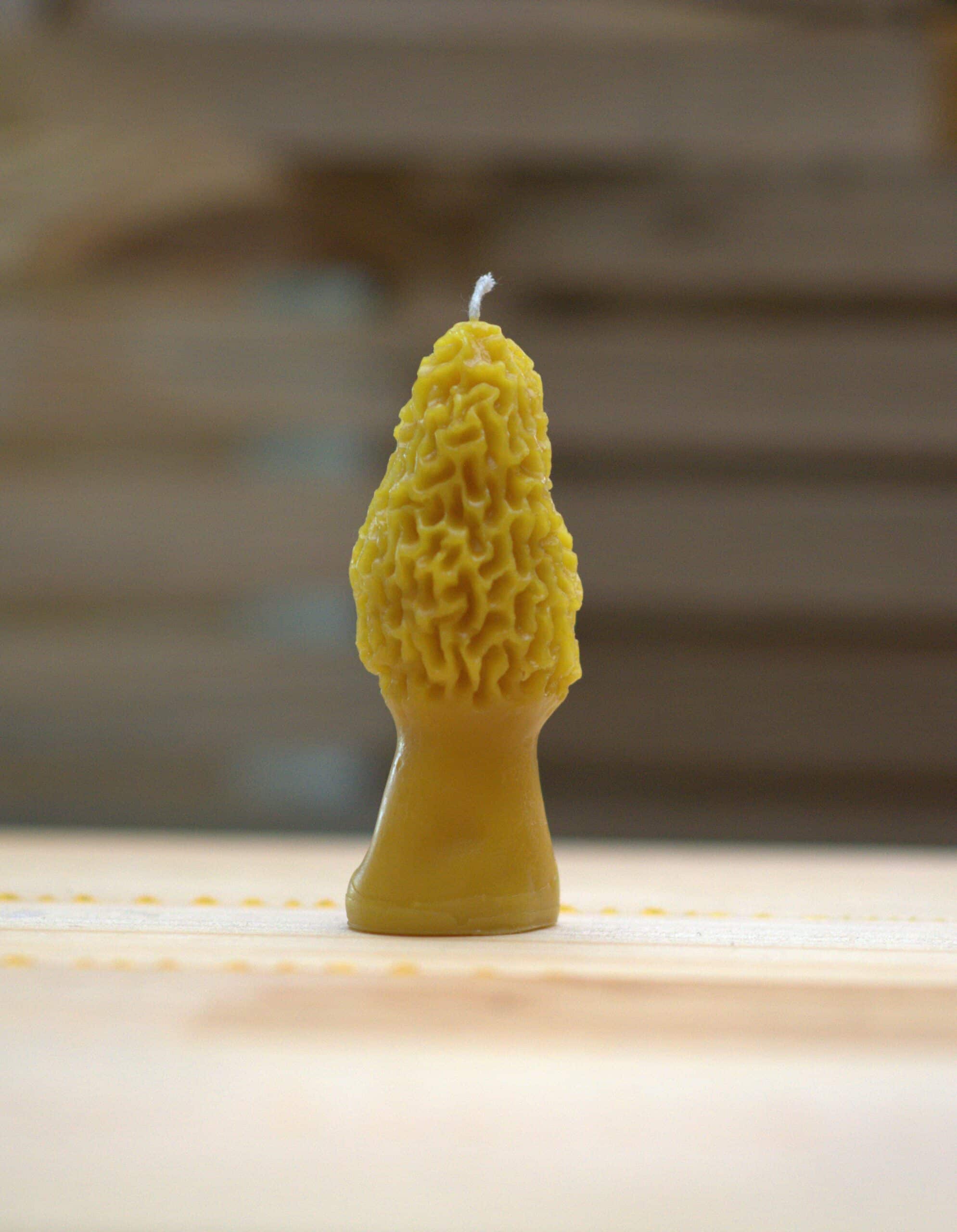 Morel Beeswax Candle - Zack's Bees